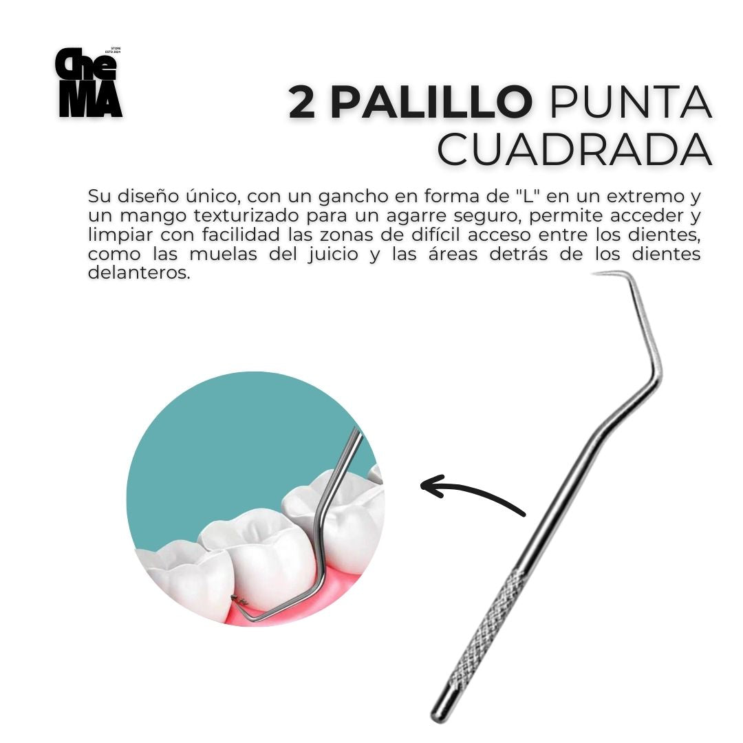 DENTALKIT  Limpieza Dental Palillo De Acero